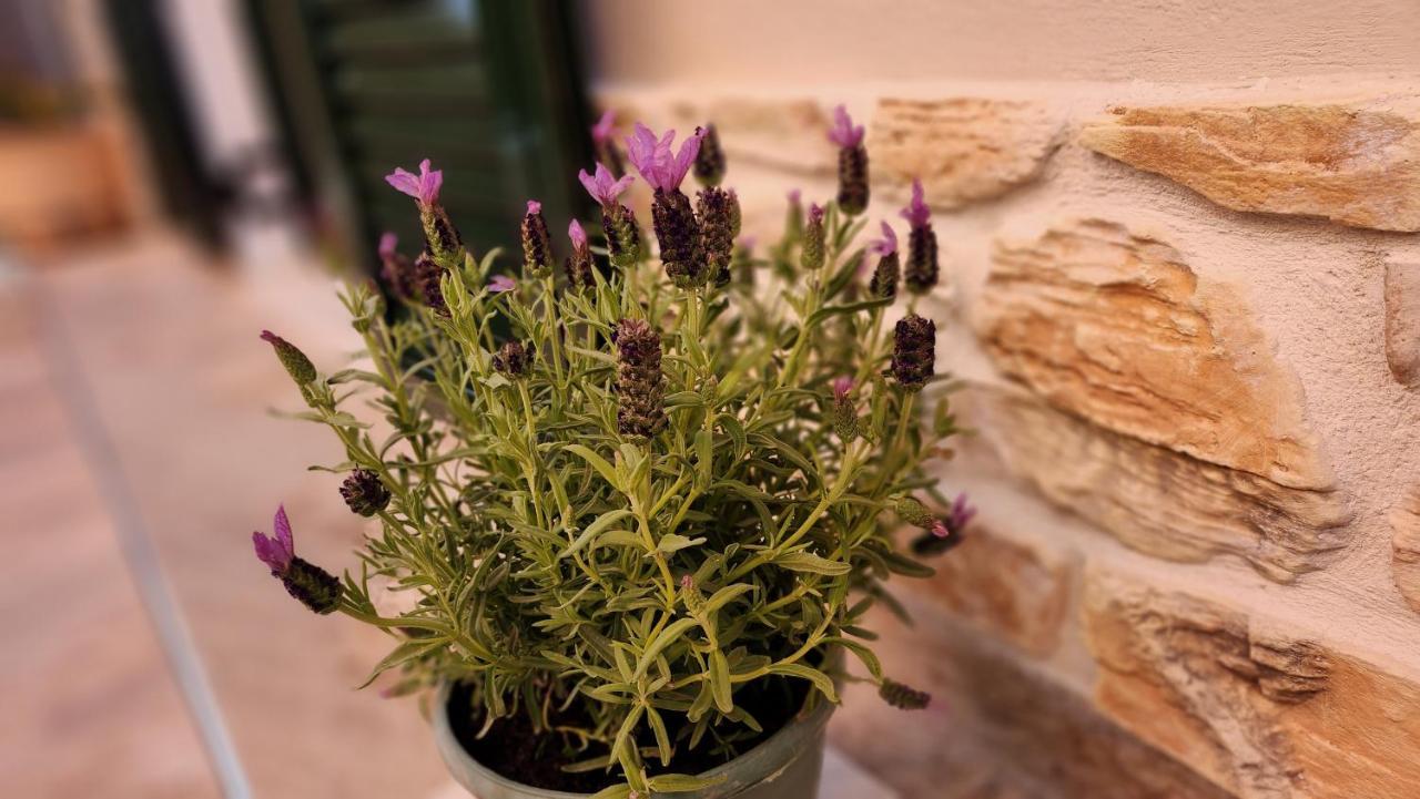 Pieri House Corfu Appartement Ypsos Buitenkant foto