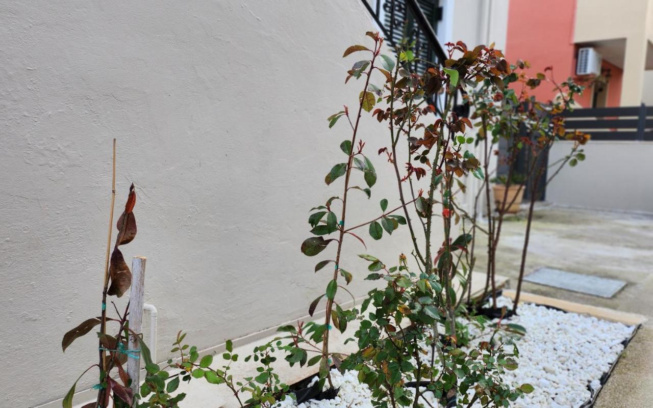 Pieri House Corfu Appartement Ypsos Buitenkant foto